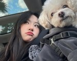 直播购物遇坑别认栽，教你三步精准投诉不良卖家，怎么投诉直播卖家